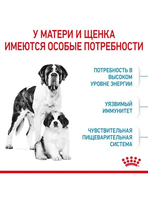 Сухой корм Royal canin Starter Mother для собак, крупные, 4 кг, фото 2