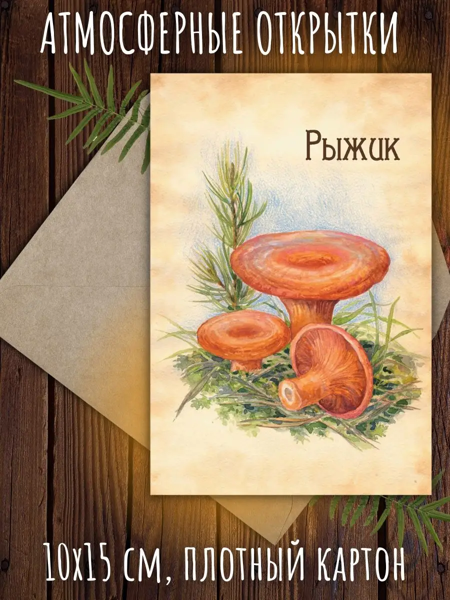 Советская открытка Белка жарит грибы Голубев - антикварные предметы в магазине ДеПутти