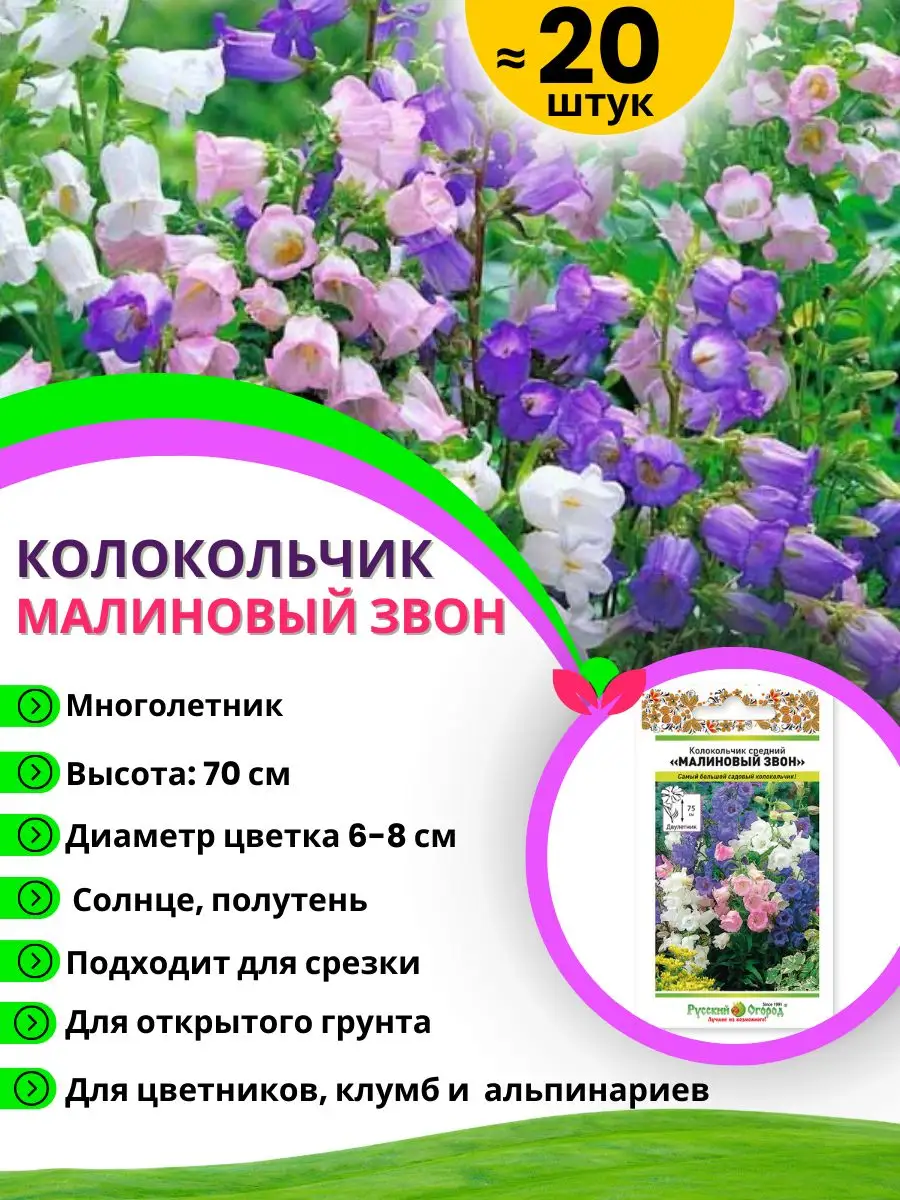 Семена цветов многолетников 10 сортов Русский Огород 161491064 купить за  405 ₽ в интернет-магазине Wildberries