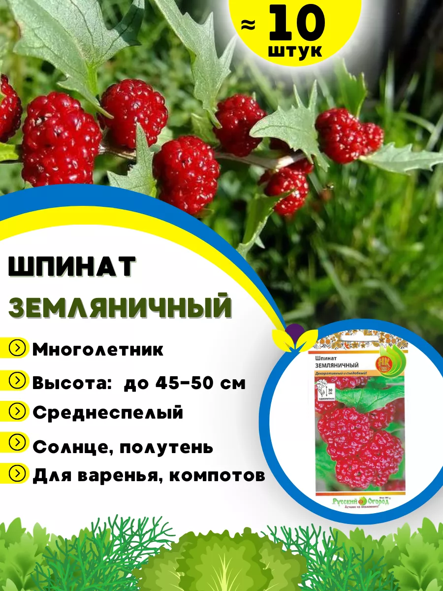 Семена зелени для балкона Русский Огород 161493697 купить за 405 ₽ в  интернет-магазине Wildberries