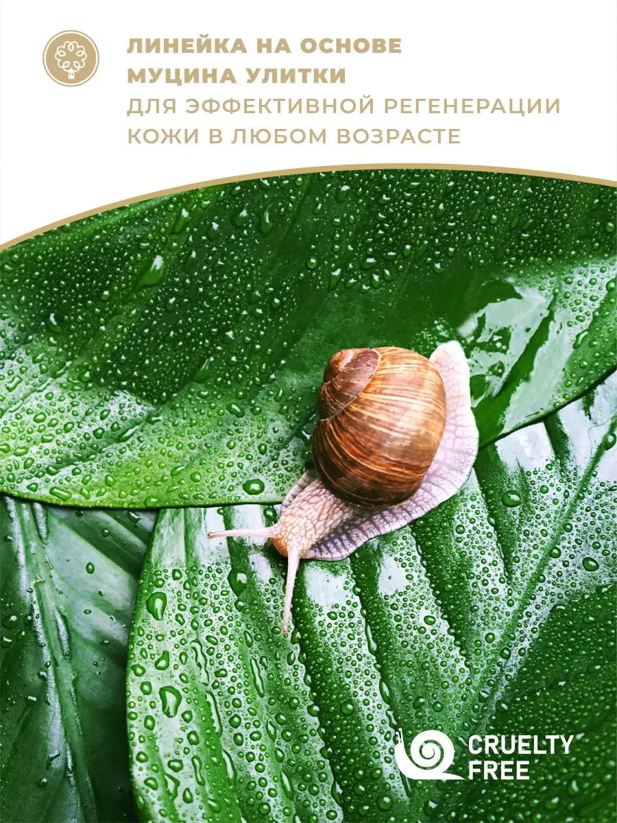 Крем для лица ночной с муцином улитки 65+ Мануфактура Дом Природы 161590244  купить за 898 ₽ в интернет-магазине Wildberries