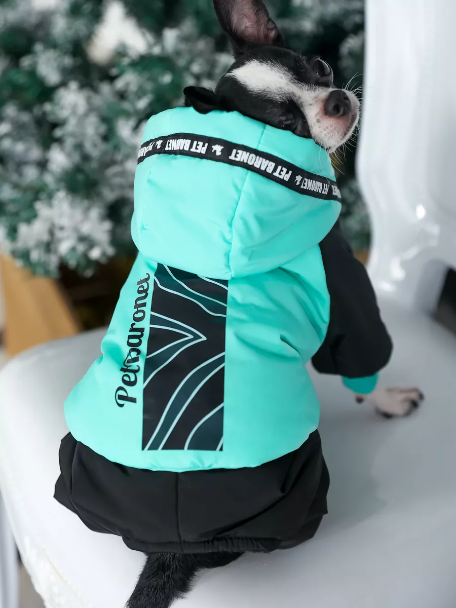 PetBaronet Одежда для собак мелких пород зимняя