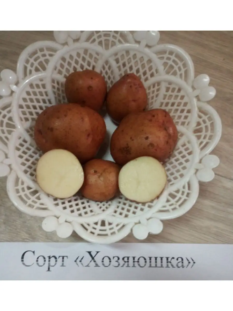 Похожие