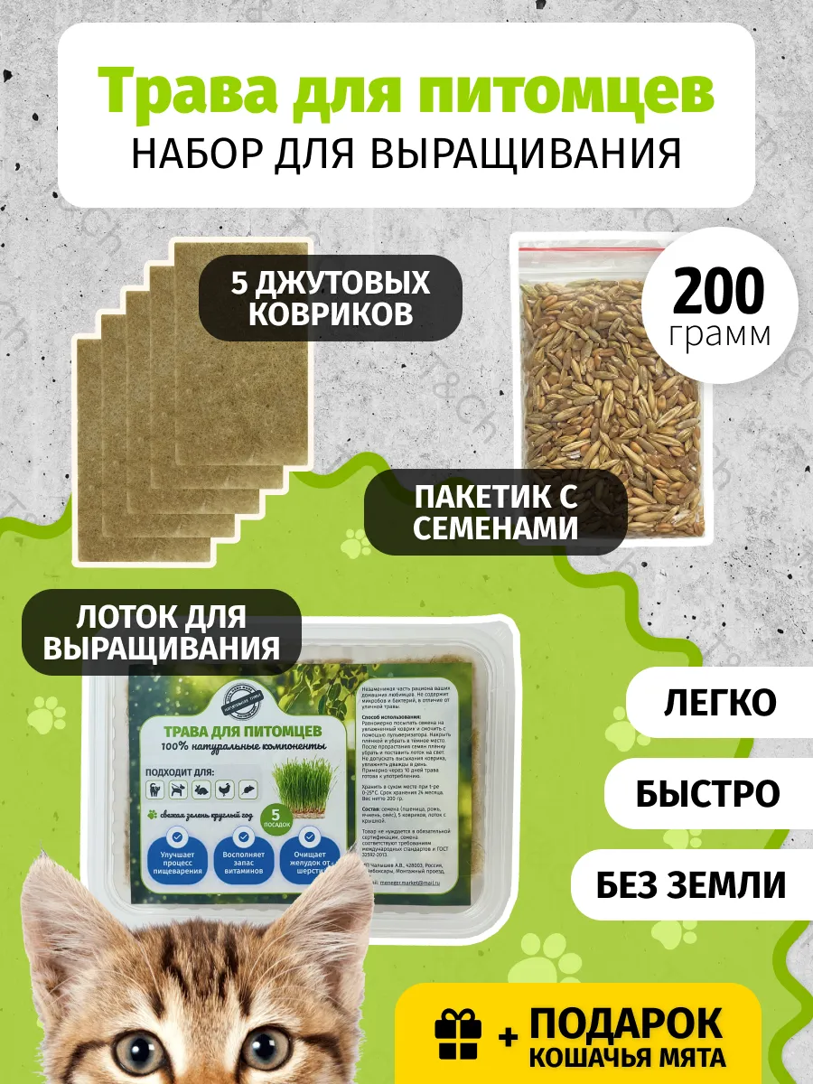 Трава для кошек для проращивания