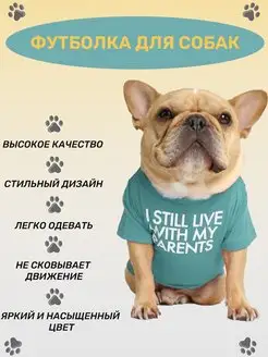 Одежда для собак и кошек стильные футболки KinMart-Z 161777330 купить за 422 ₽ в интернет-магазине Wildberries