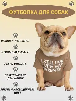 Одежда для собак и кошек: стильные футболки KinMart-Z 161777331 купить за 422 ₽ в интернет-магазине Wildberries