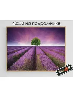 Алмазная мозаика на подрамнике большая 40*50см Skroll 161913873 купить за 756 ₽ в интернет-магазине Wildberries