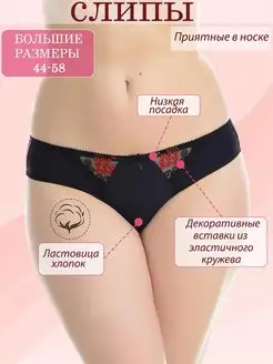 Трусы ЧЕРЕМУШКИ 162003139 купить за 976 ₽ в интернет-магазине Wildberries