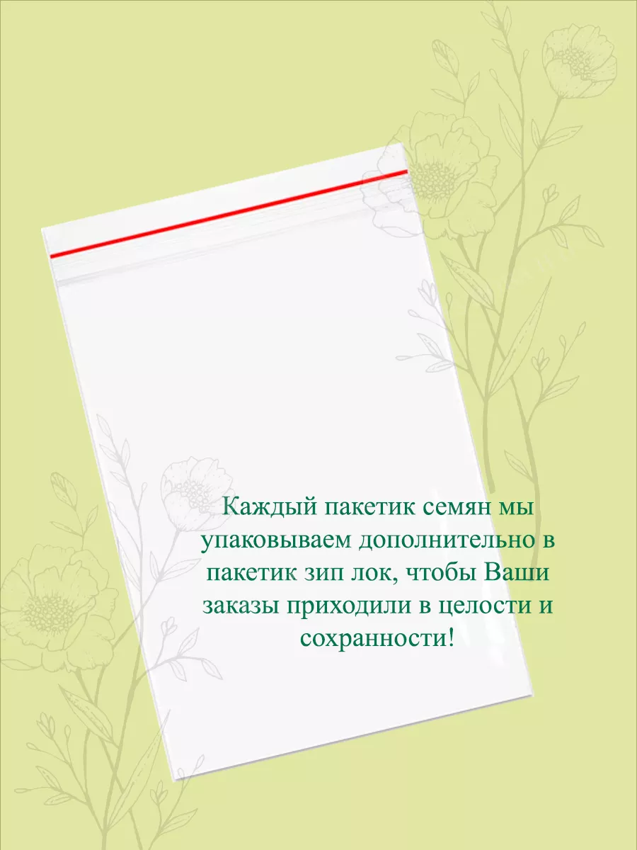 Семена Примула Крупноцветная, смесь Русский Огород 162044958 купить за 113  ₽ в интернет-магазине Wildberries