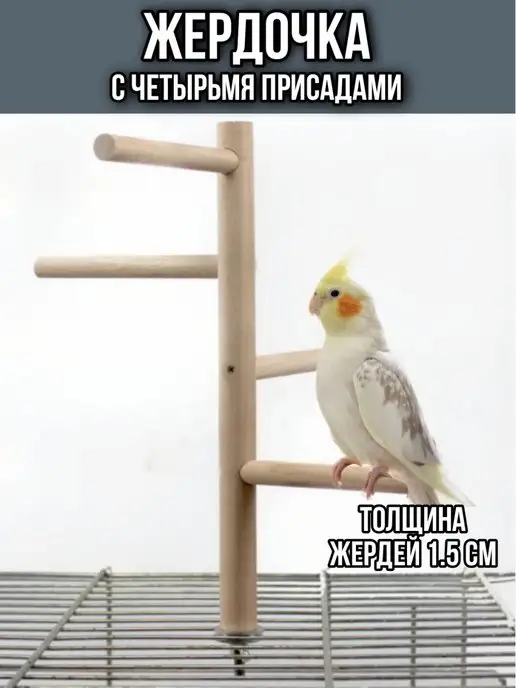 Жердочки для попугаев