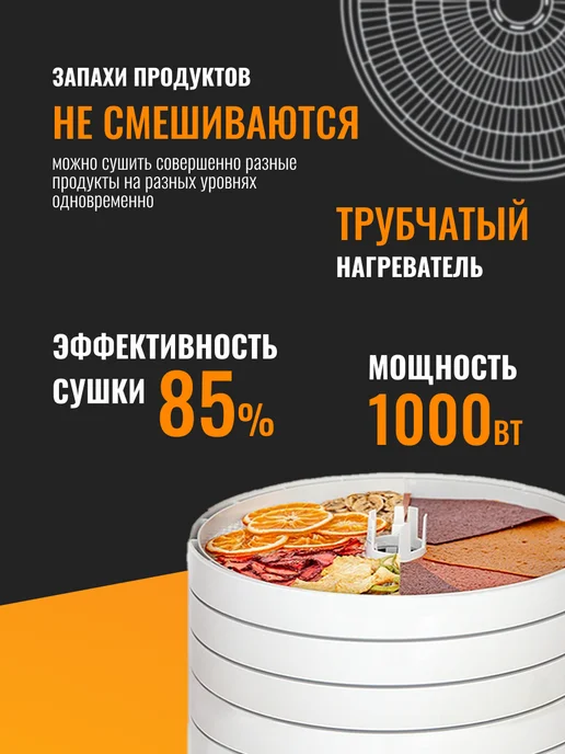 волтера Сушилка Элит-1000 с таймером 12 уровней, белый, фото 3