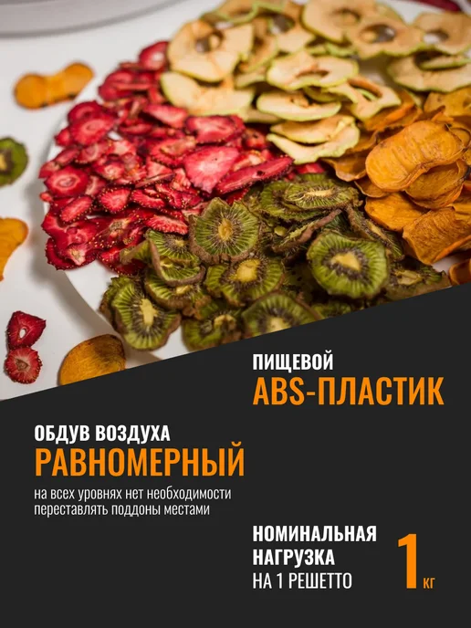 волтера Сушилка Элит-1000 с таймером 12 уровней, белый, фото 4