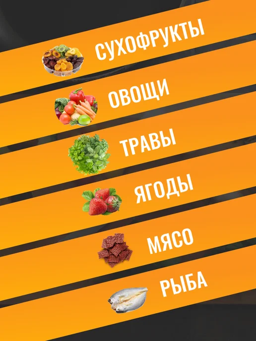 волтера Сушилка Элит-1000 с таймером 12 уровней, белый, фото 6