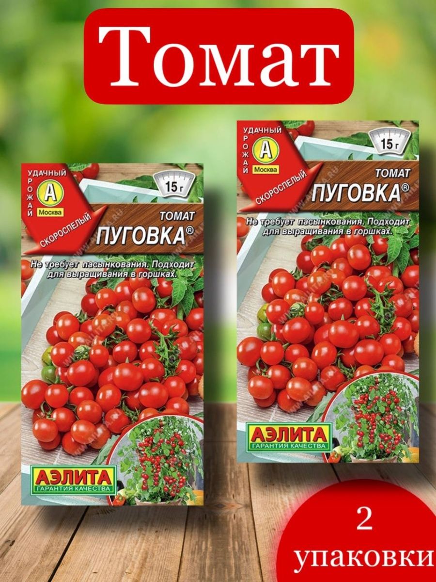 Томат пуговка описание сорта фото. Томат Пуговка характеристика. Томат Пуговка отзывы. Томат Пуговка фото. Томат Пуговка описание.