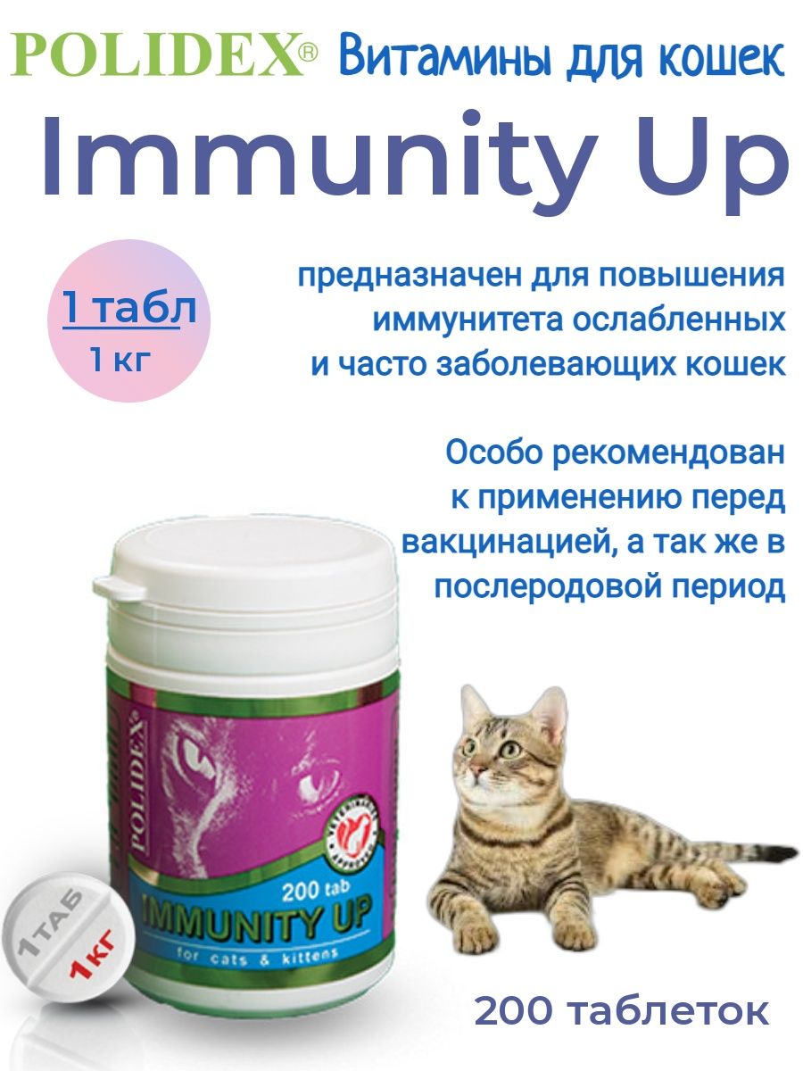 Vitamin up. Витамины для кошек для иммунитета. Препараты для повышения иммунитета у кошек. Витамины для кошек для иммунитета в таблетках. Повышение иммунитет у кошек.