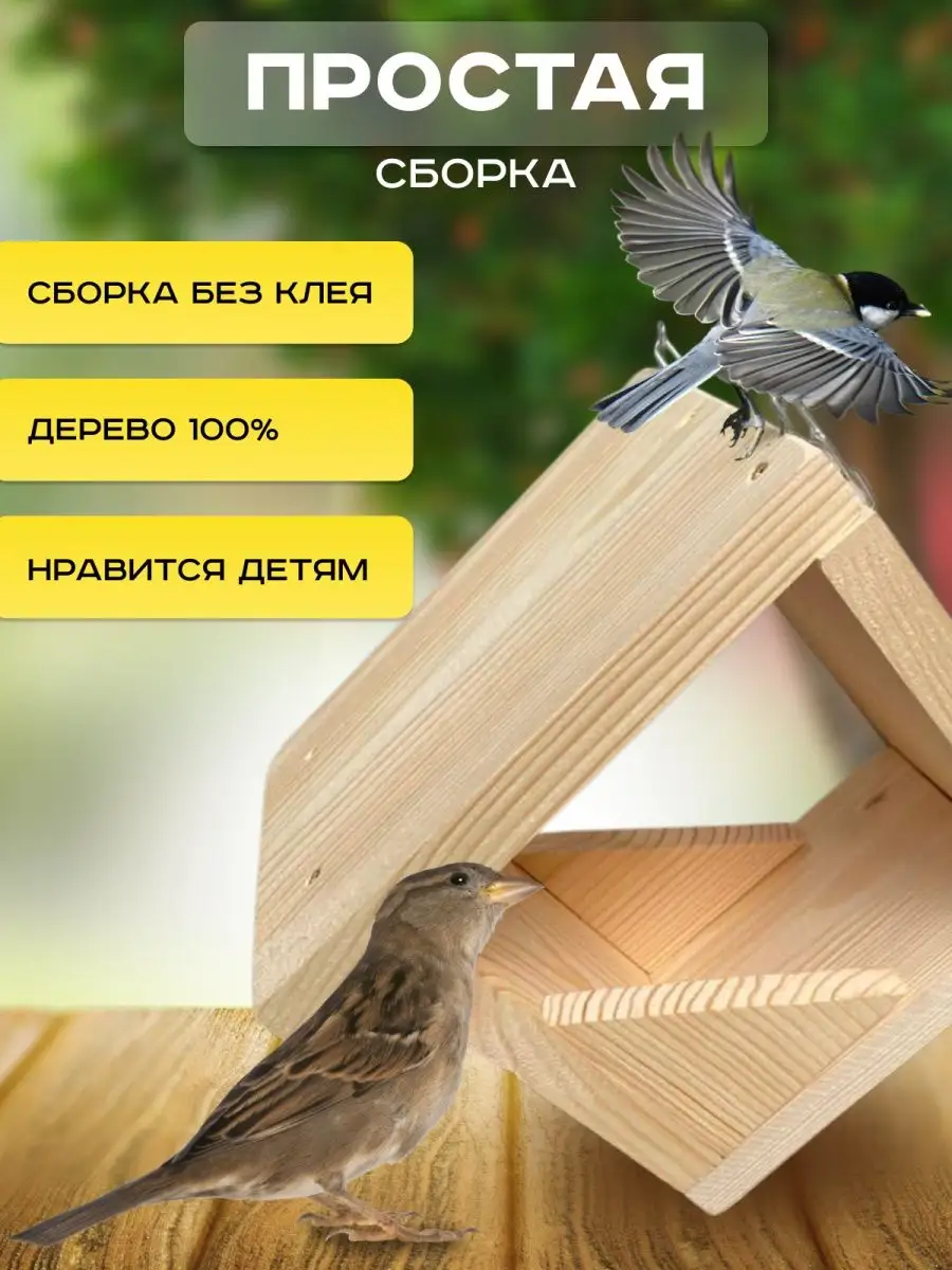 Чудеса в перьях: краткое руководство по зимней (и даже осенней) подкормке птиц