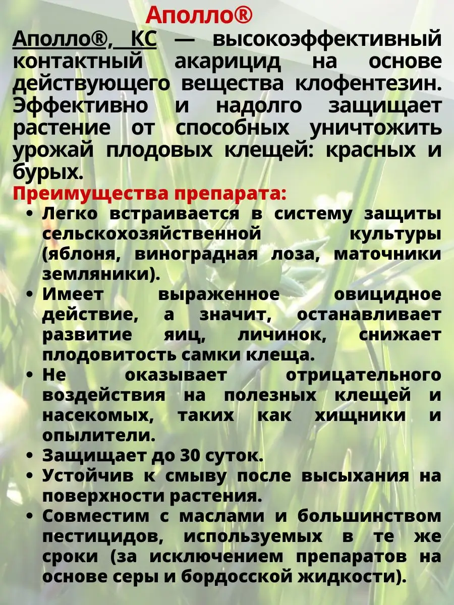 Акарицид против клещей Аполло 100 мл AdAma 162223293 купить за 1 620 ₽ в  интернет-магазине Wildberries