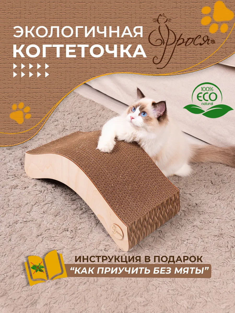 Когтеточки из картона — optika-krymchanka.ru