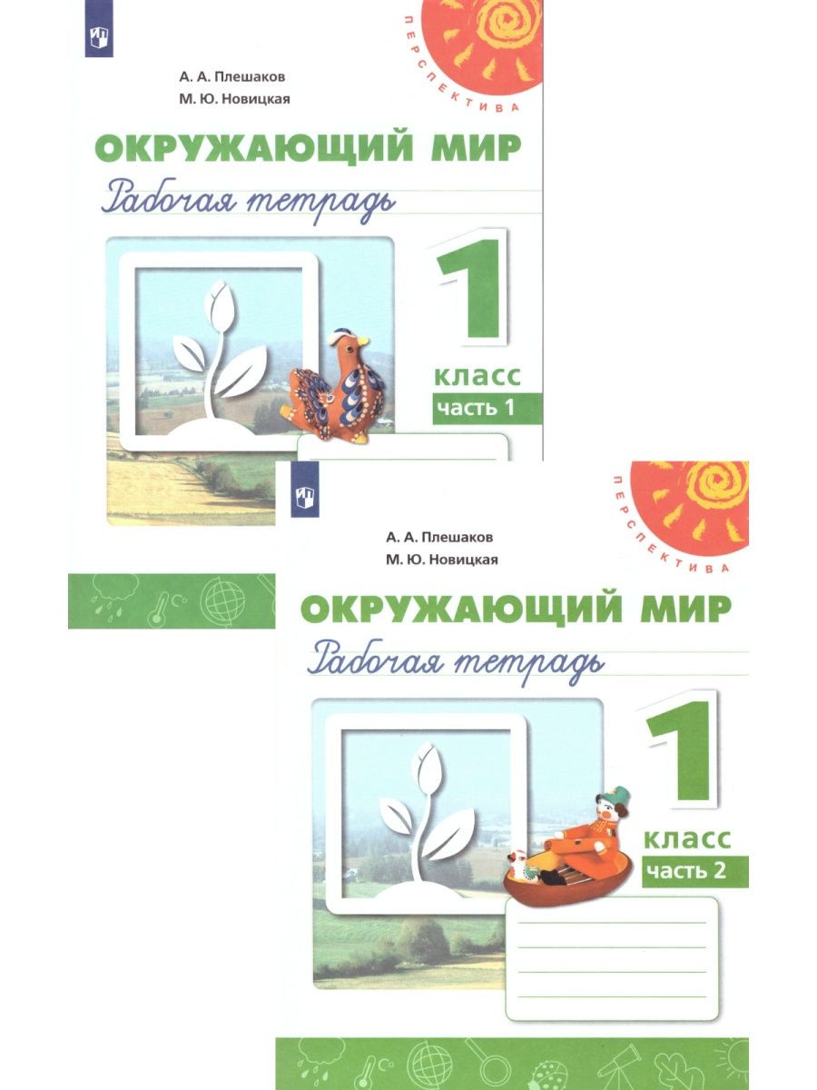 Окружающий мир Плешаков Просвещение. Окружающий мир Плешаков Просвещение проверочные работы 2 класс.