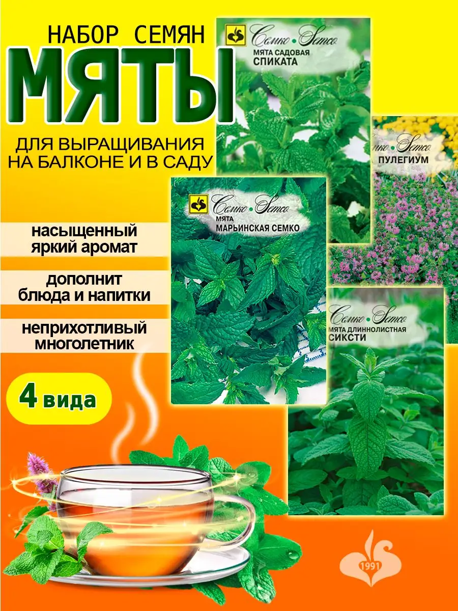 Семена мяты многолетней пряновкусовой для дачи Семко 162301635 купить за  447 ₽ в интернет-магазине Wildberries