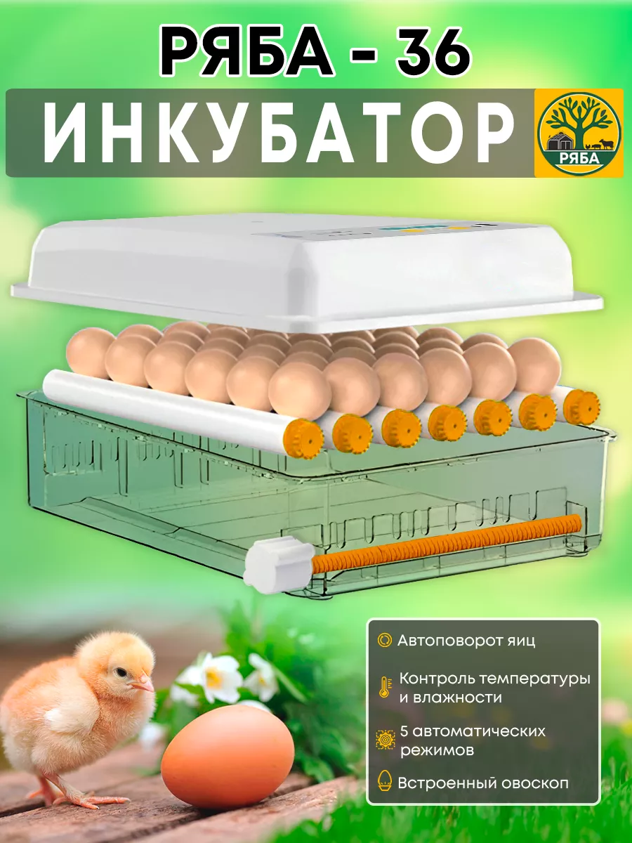 Производитель Ряба Инкубатор для яиц автоматический с терморегулятором