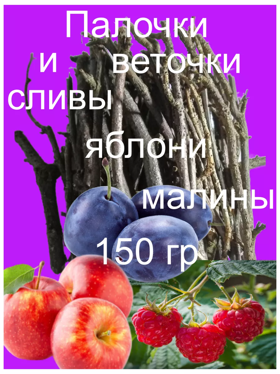 Муляжи сливы