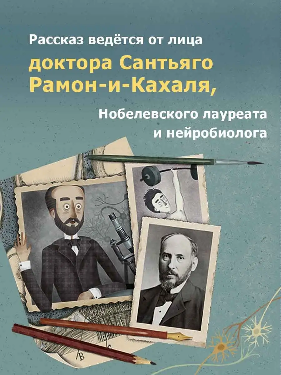 Мозг человека ТОО Издательство Фолиант 162348475 купить в интернет-магазине  Wildberries