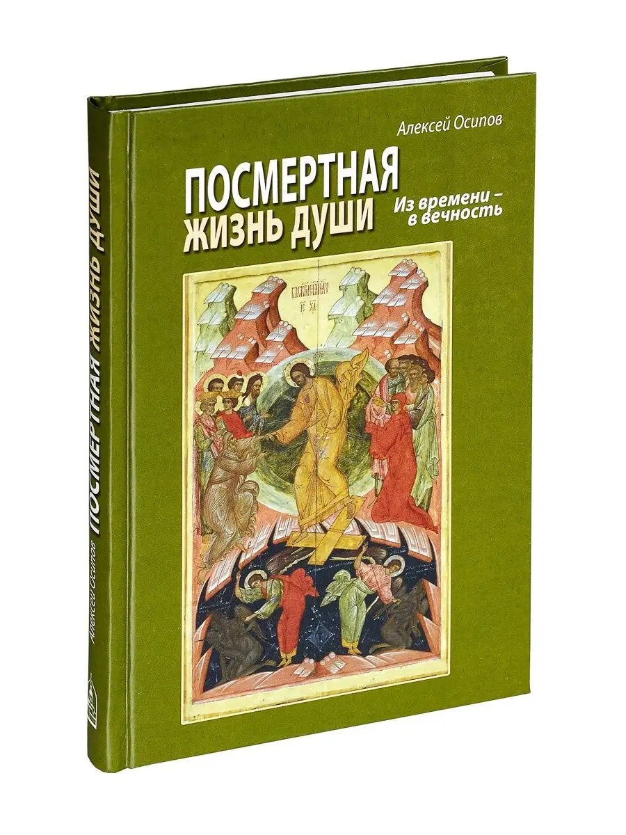 Посмертная жизнь души. Из времени в Вечность (без диска) Данилов мужской  монастырь 162361601 купить за 261 ₽ в интернет-магазине Wildberries