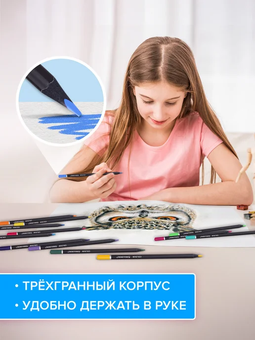 Brauberg Карандаши цветные мягкие Blackwood трёхгранные набор 24 цвет, вариант, фото 3