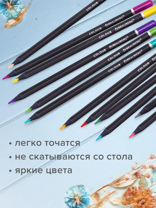 Brauberg Карандаши цветные мягкие Blackwood трёхгранные набор 24 цвет, вариант, фото 5