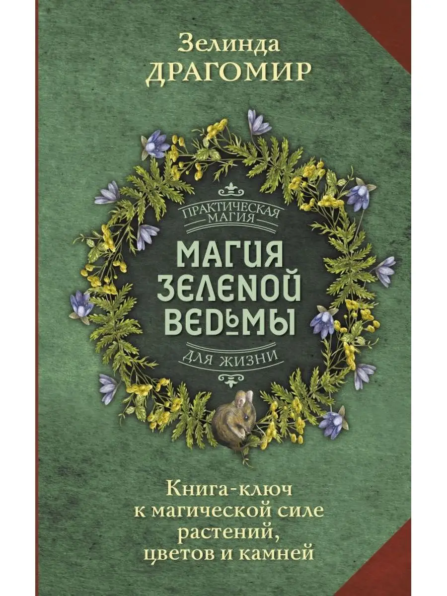 Магия зеленой ведьмы. Книга-ключ к магической силе Издательство АСТ  162386680 купить за 355 ₽ в интернет-магазине Wildberries