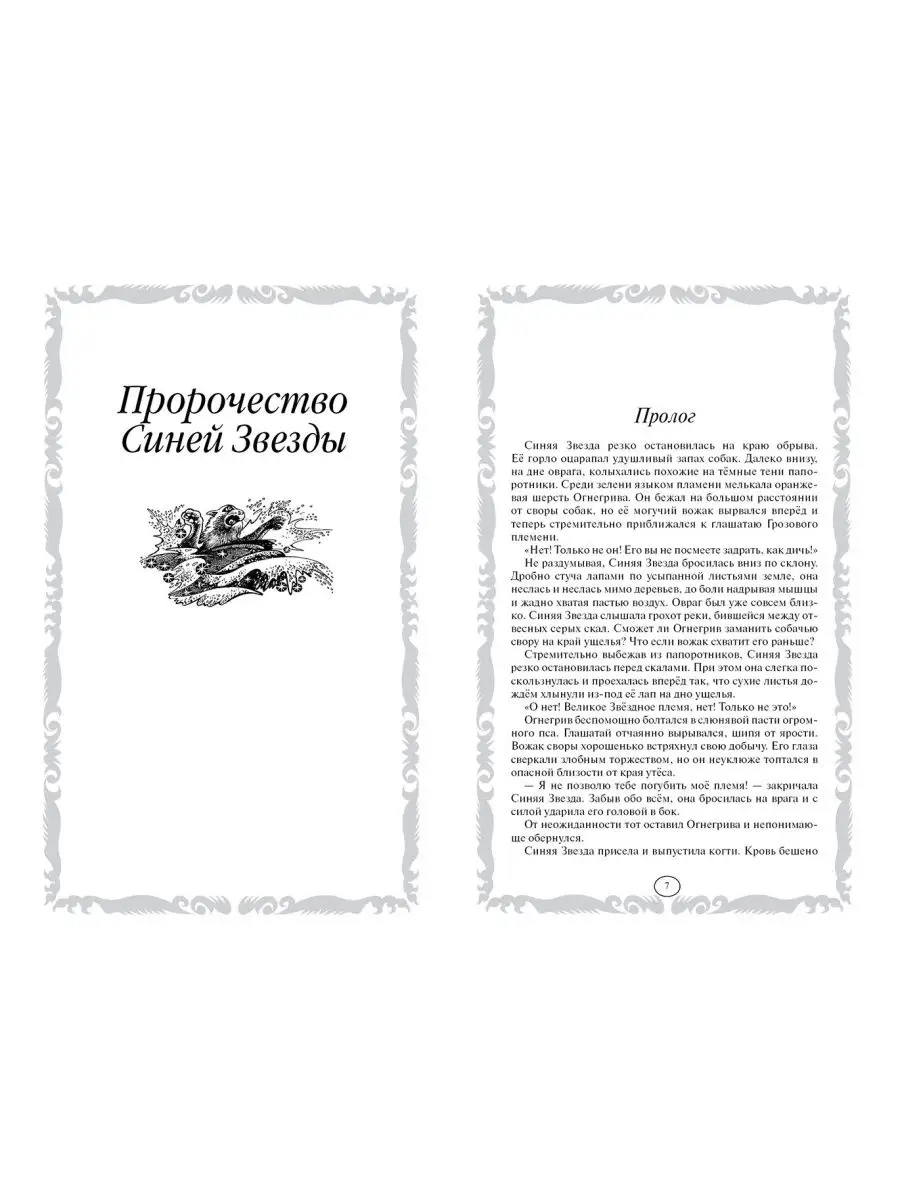 Коты-воители. Золотая коллекция. Пророчество Синей Звезды. Олма 162410896  купить в интернет-магазине Wildberries