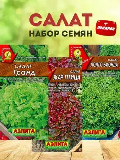 Семена салата Агрофирма Аэлита 162450609 купить за 150 ₽ в интернет-магазине Wildberries