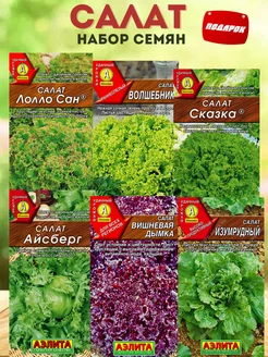 Семена салата Агрофирма Аэлита 162450858 купить за 255 ₽ в интернет-магазине Wildberries