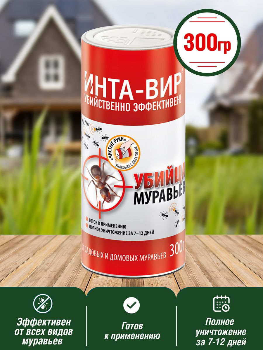 Инта вир муравьи