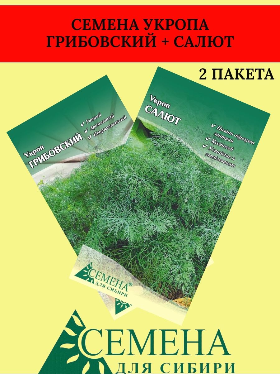 Укроп Грибовский отзывы. Семена укроп салют. Укроп салют (простые пакеты).