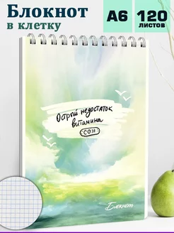 Блокнот для записей А6 120 л клетка Феникс+ 162539734 купить за 176 ₽ в интернет‑магазине Wildberries