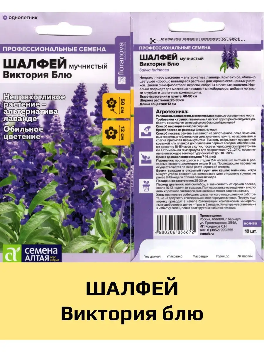 Шалфей Семенами Цена