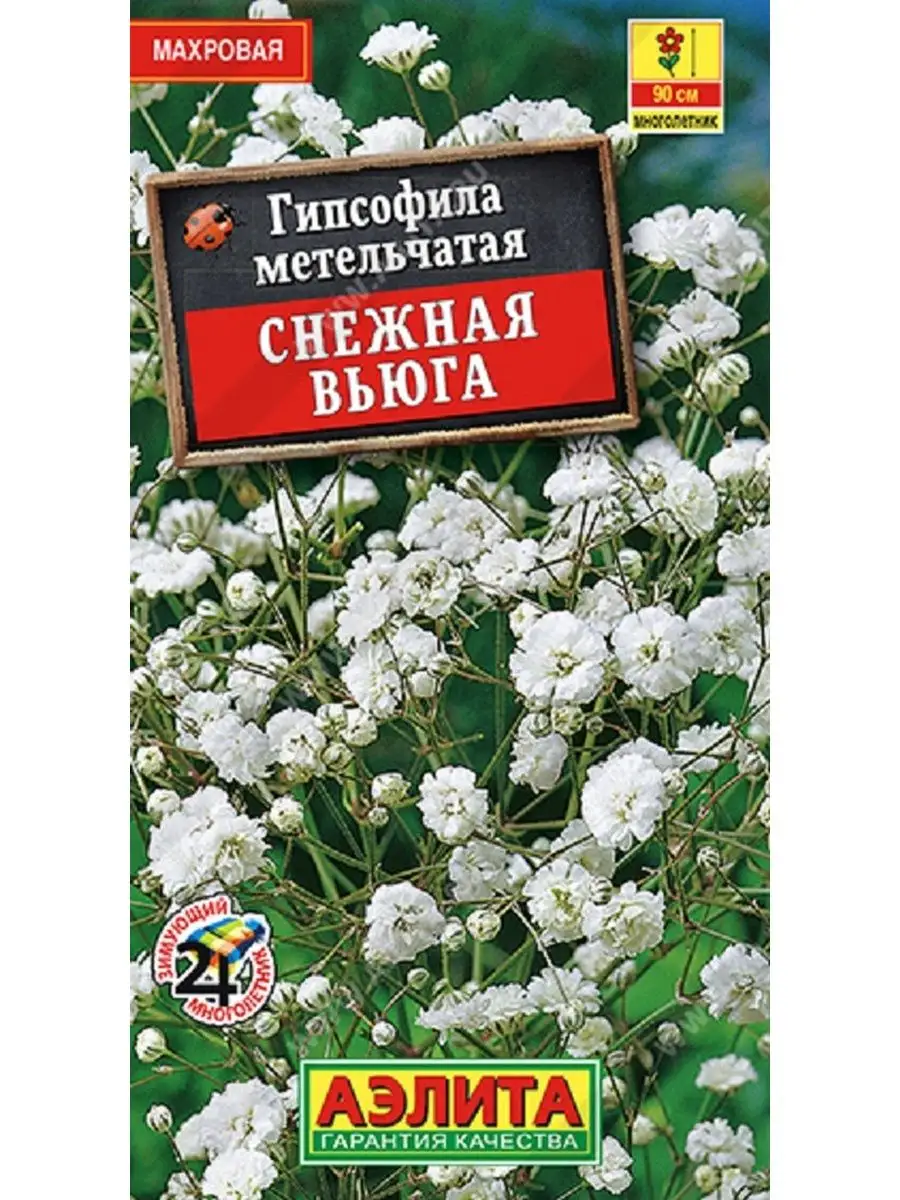 Семена Гипсофила махровая Снежная вьюга Агрофирма Аэлита 162559887 купить  за 110 ₽ в интернет-магазине Wildberries