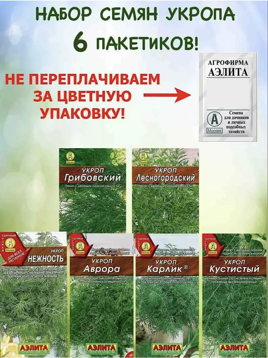 Семена укропа набор 6шт Агрофирма Аэлита 162604884 купить за 136 ₽ в  интернет-магазине Wildberries