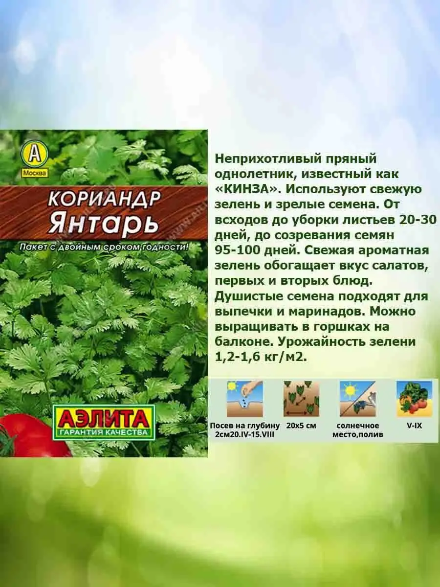 Семена кориандра набор 3шт Агрофирма Аэлита 162605342 купить за 95 ₽ в  интернет-магазине Wildberries