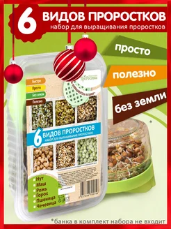 Набор семена для проращивания 6 видов Никольские ПроРостки 162736590 купить за 255 ₽ в интернет-магазине Wildberries