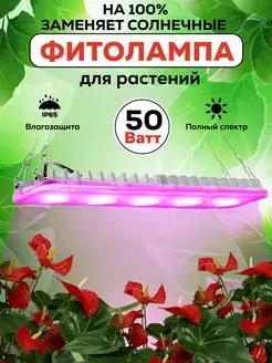 Фитолампа для растений и рассады полного спектра LED ФитоСвет 162803587 купить за 1 125 ₽ в интернет-магазине Wildberries