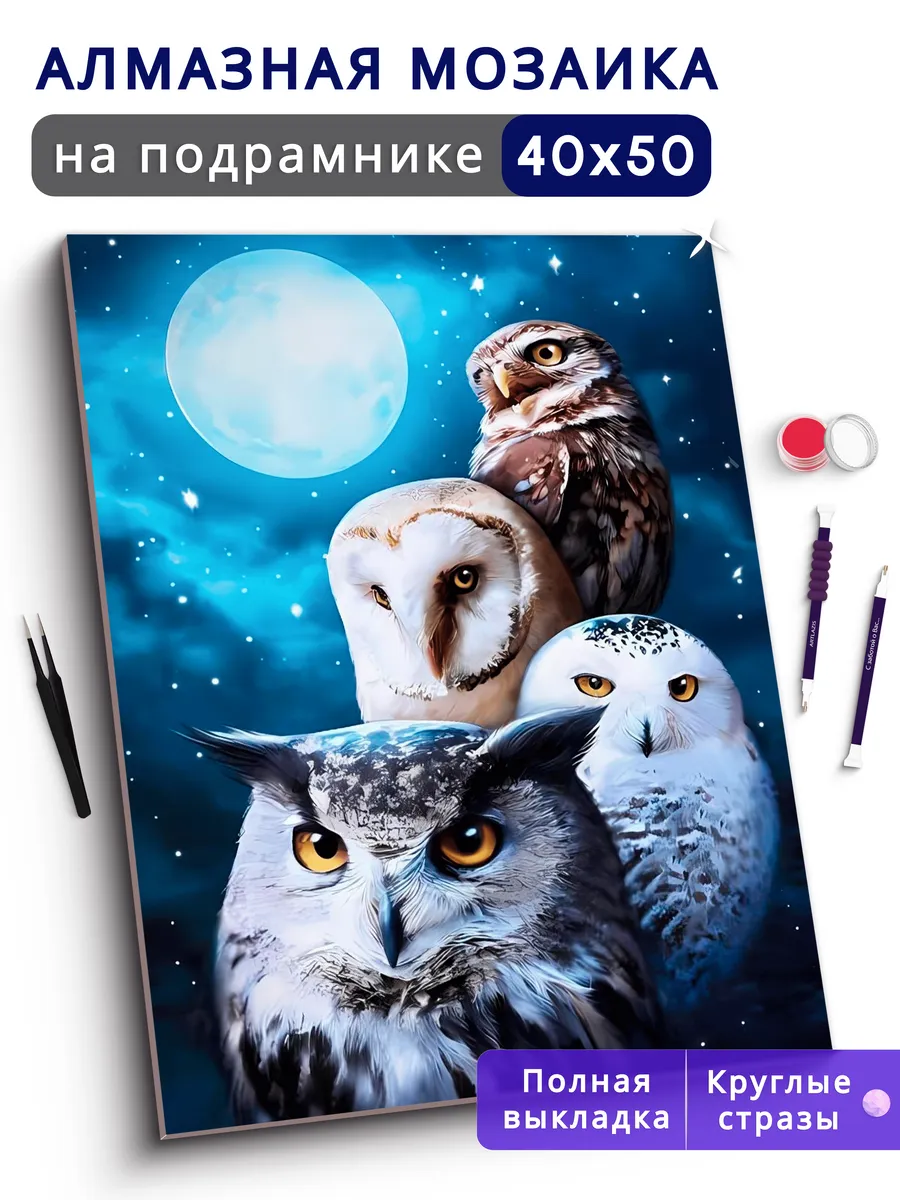 Алмазная мозаика на подрамнике 40х50 см Совы