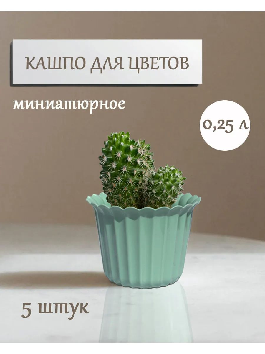 Горшки - кашпо для цветов 0,25 л ( набор 5 шт.)
