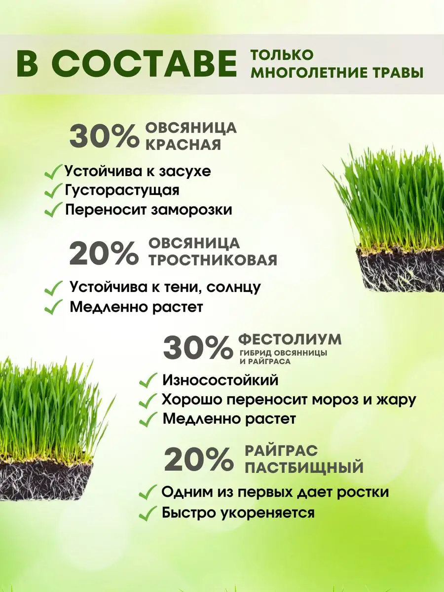 Газонная трава засухоустойчивая низкорослая 15 кг Gazonlend 162864274  купить за 7 212 ₽ в интернет-магазине Wildberries