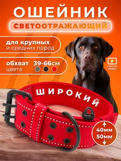 Ошейник для собак крупных и средних пород Doggy&Dog Shop 162865152 купить за 511 ₽ в интернет-магазине Wildberries