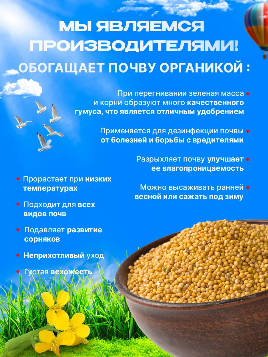 Горчица семена сидерат 5 кг BSOPT seeds & grass 162886397 купить за 442 ₽ в  интернет-магазине Wildberries