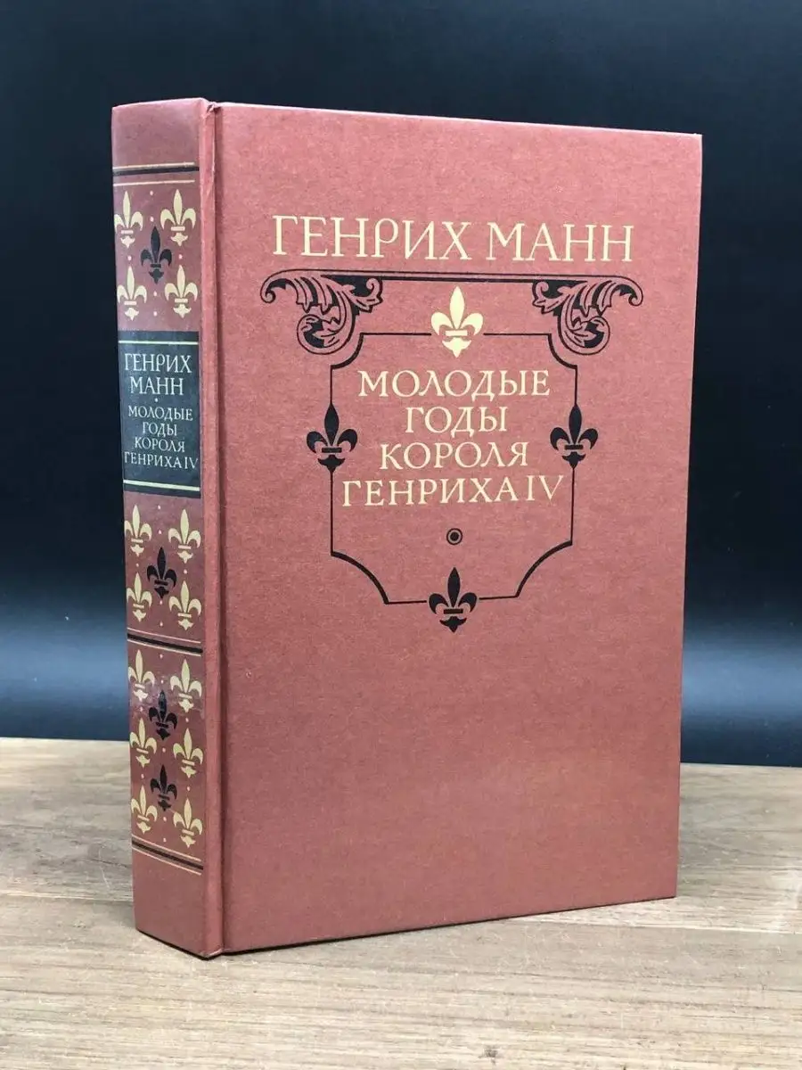 Молодые годы короля Генриха IV