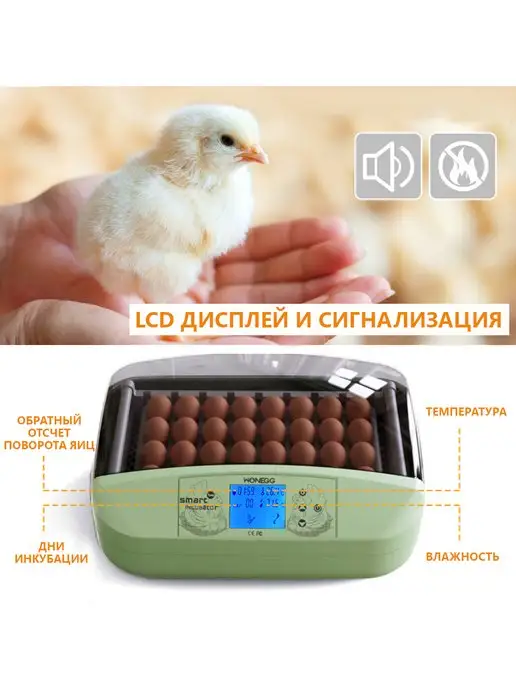 HHD Инкубатор для яиц автоматический с терморегулятором, зеленый, фото 2